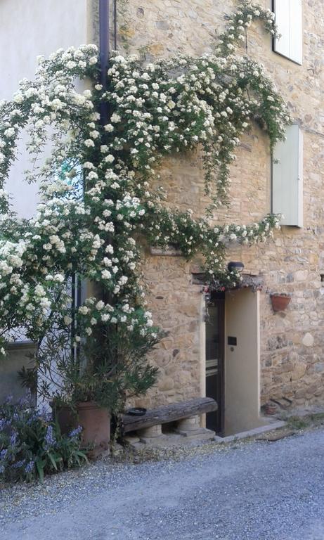 Traversetolo Agriturismo Il Gelso מראה חיצוני תמונה