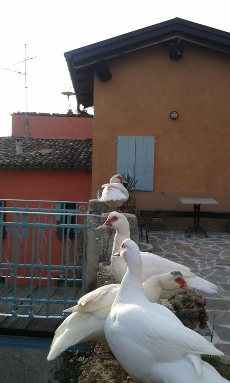 Traversetolo Agriturismo Il Gelso מראה חיצוני תמונה