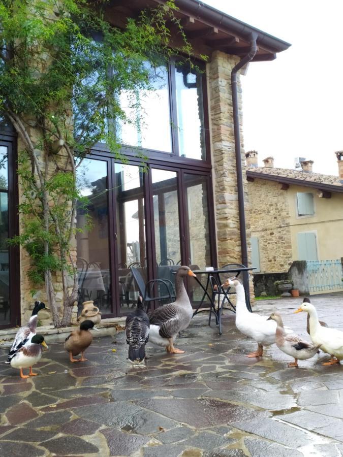 Traversetolo Agriturismo Il Gelso מראה חיצוני תמונה